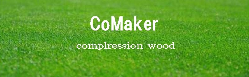 comaker image1