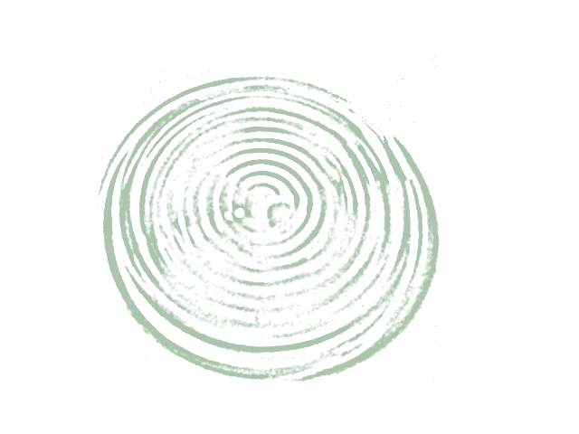 fresnel image1